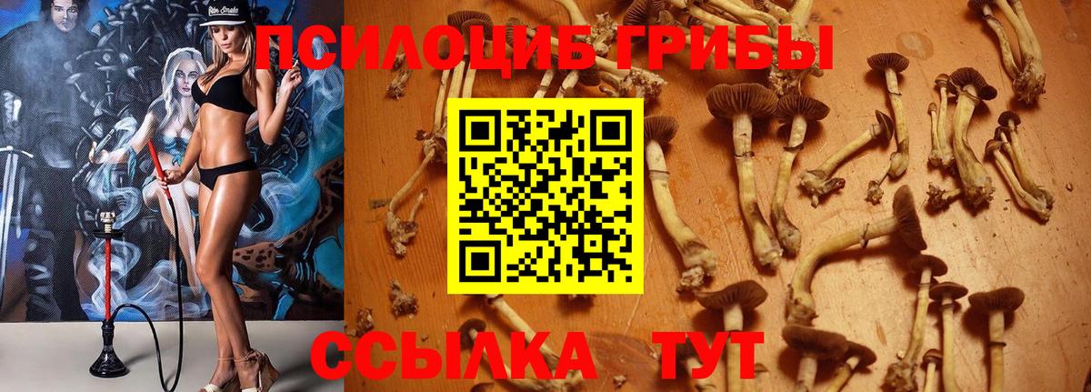 Галлюциногенные грибы Magic Shrooms Семёнов