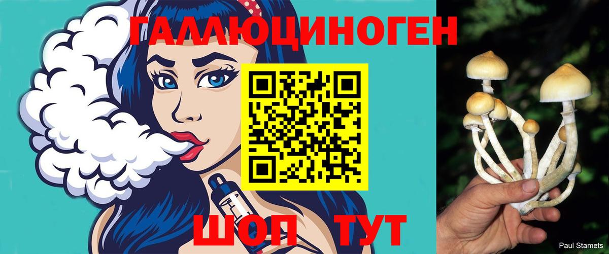 Бошки Шишки Семёнов